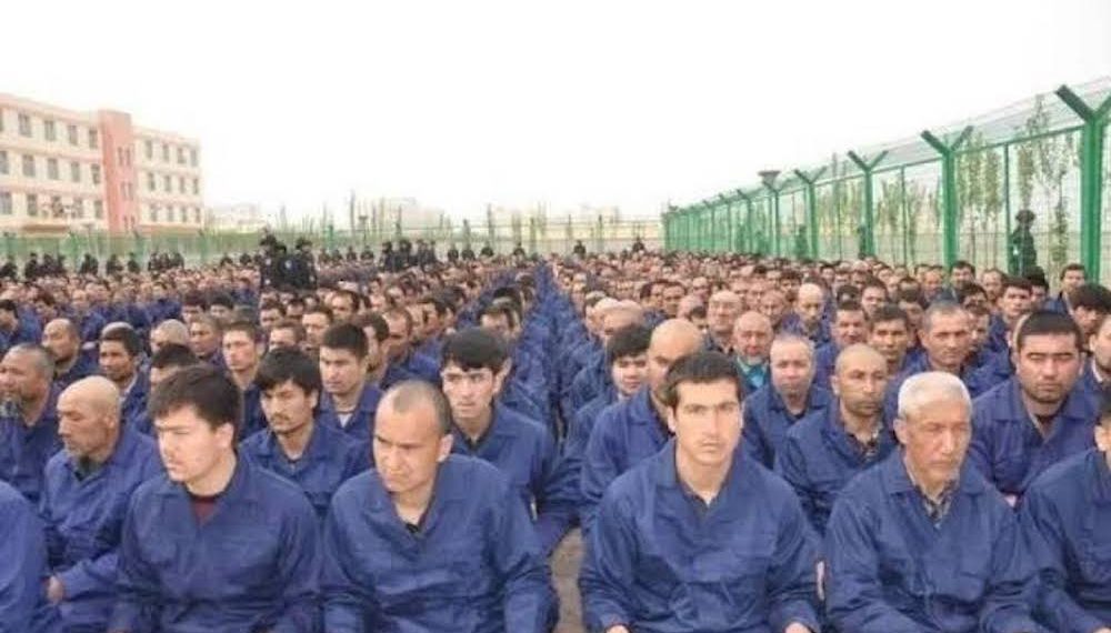 Uyghur forced labor