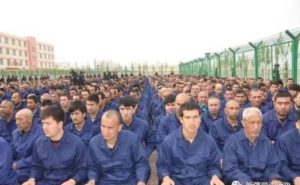 Uyghur forced labor