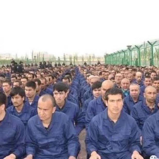 Uyghur forced labor